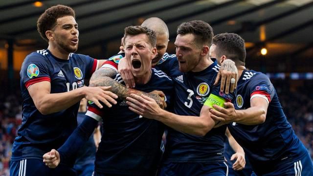一夜七次狼在线观看
